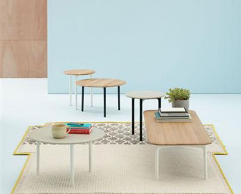 Haworth Openest Sprig