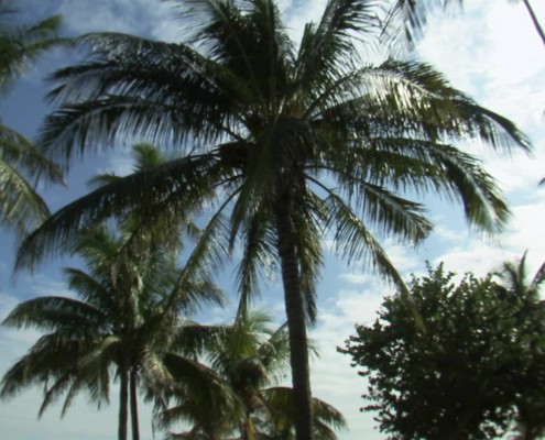 Florida Business Interiors