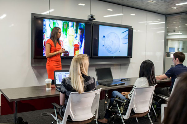 BOS Work Culture Strengtheners