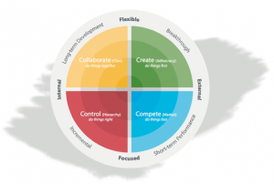 Culture Models