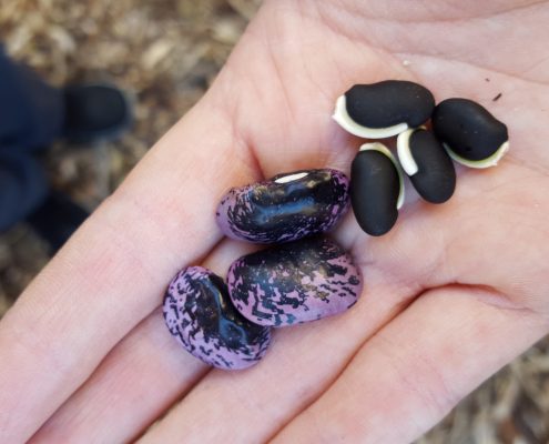 Profiles in Design 2018 - Christine Wright