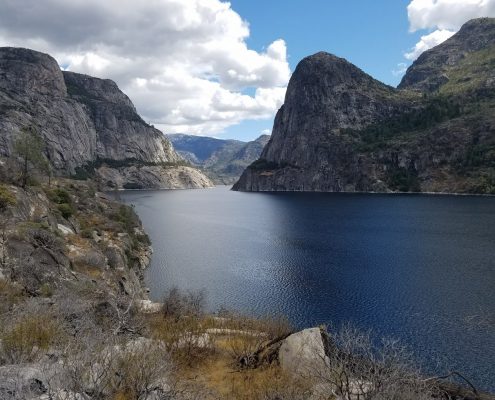 Profiles in Design 2018 - Jane McGlennon