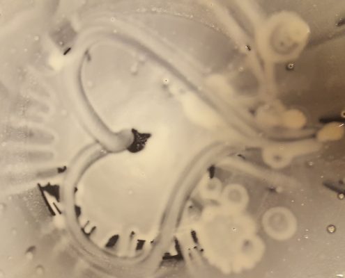 Profiles in Design 2018 - Christine Wright