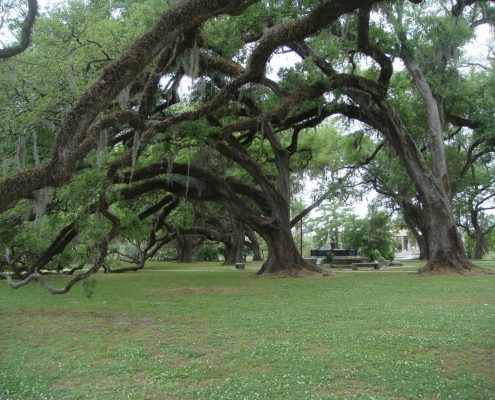 Profiles in Design 2018 - Jane McGlennon