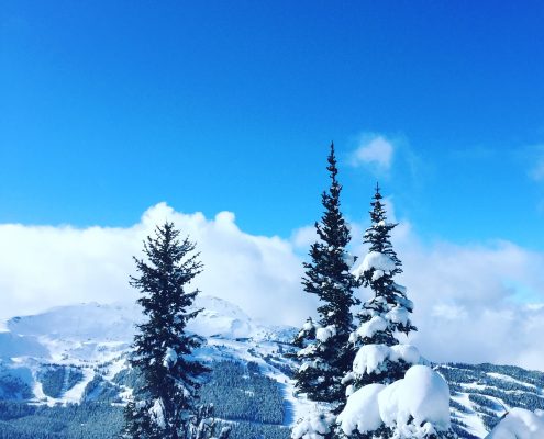 Profiles in Design 2018 - Jessica Gracey