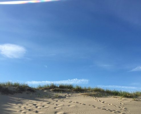 Profiles in Design 2018 - Jessica Gracey