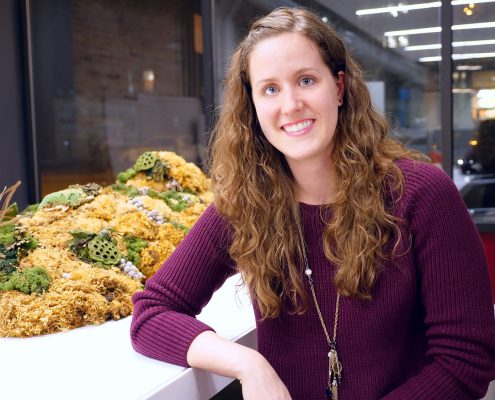 BOS Profiles in Design