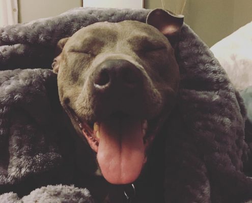 Profiles in Design 2018 - Jessie James