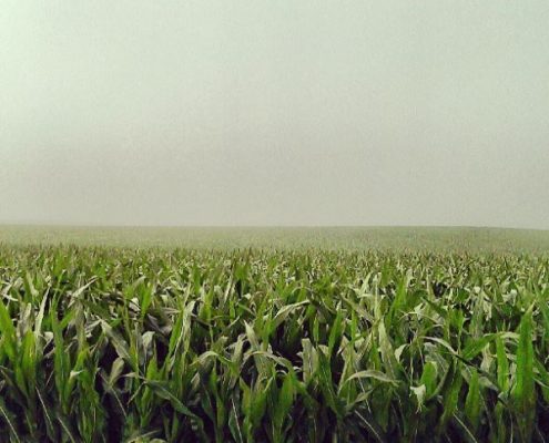 Profiles in Design 2018 - Jane McGlennon