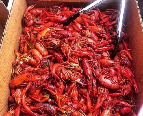 Profiles in Design 2018 - Jane McGlennon