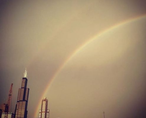 Profiles in Design 2018 - Jane McGlennon