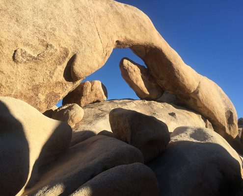 Profiles in Design 2018 - Sylvia Obiedzinski