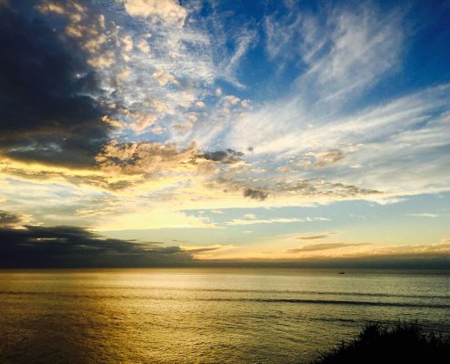 Profiles in Design 2018 - Sylvia Obiedzinski