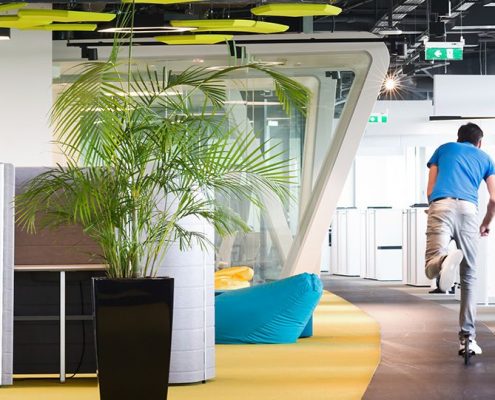 Biophilia in the Workspace
