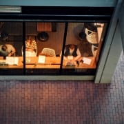 video conferencing