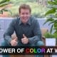 The Power of Color at Work