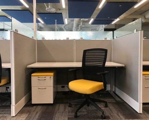 collaborate md showcase bos