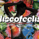 Discofeelia