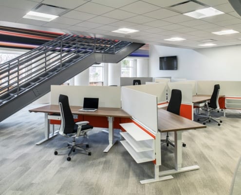 autoweb showcase tampa