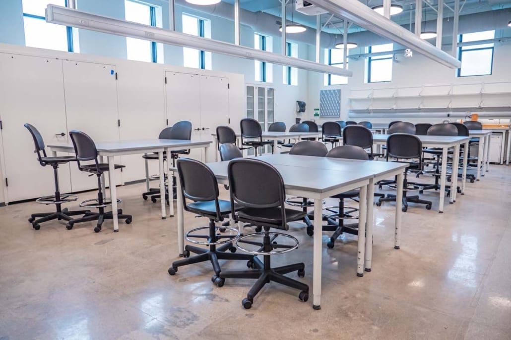 P1344185 loyola university