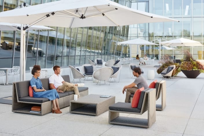 SEE! – One Haworth Center – Large