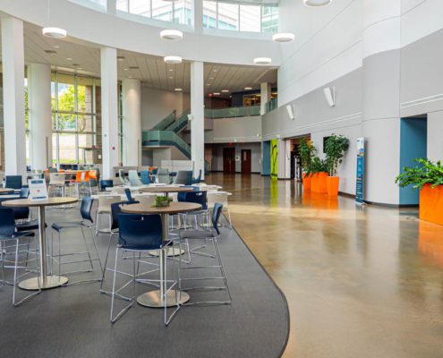 P1377244 the reserve