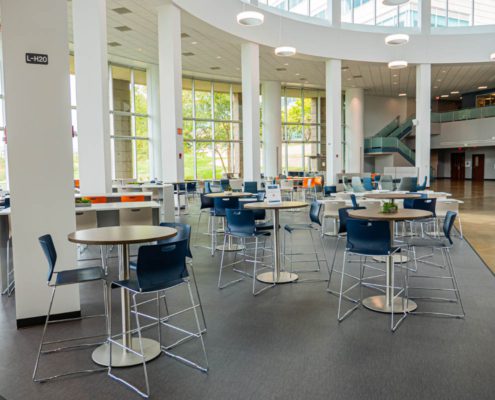 P1377246 the reserve