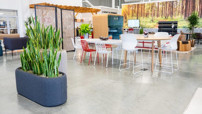 51975740041_eb7130c9b7_c