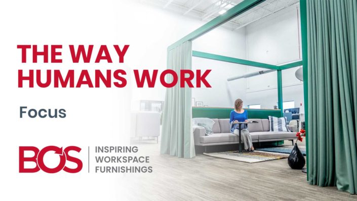 59 the way humans work focus