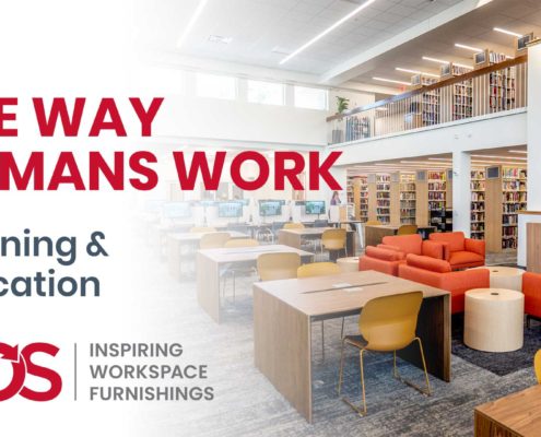 the way humans work learning and education