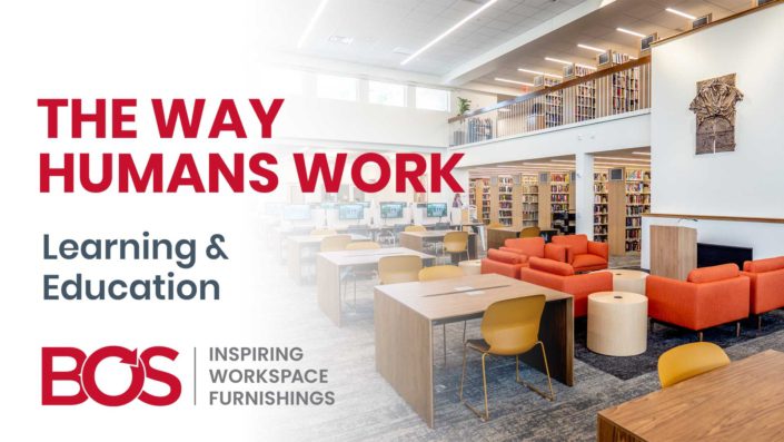 61 the way humans work learning and education