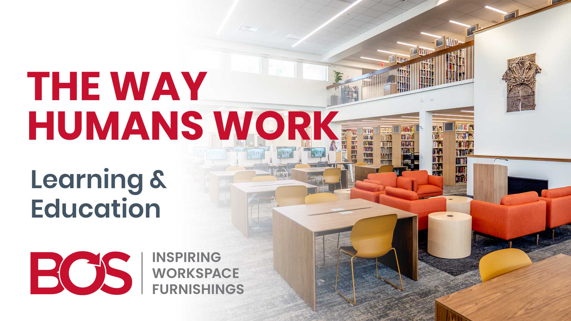 the way humans work learning and education