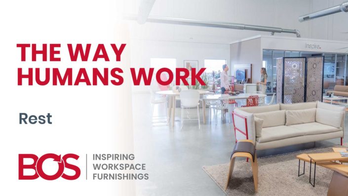 63 the way humans work rest