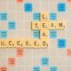Lead a team to Success