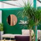 Modern Workplace Series - Benefits of Plants and Biophilic Design