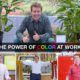 Modern Workplace Series - Power of Color