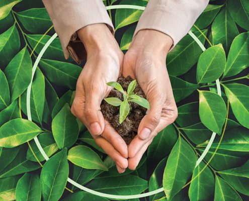 Modern Workplace Series - Sustainability