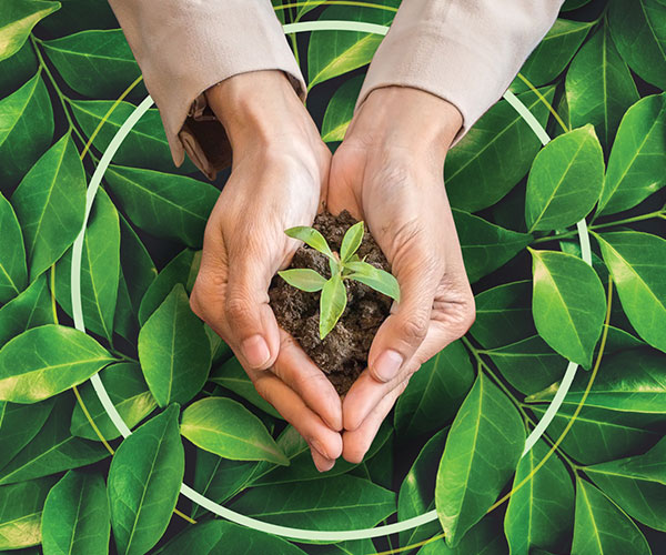 Modern Workplace Series - Sustainability