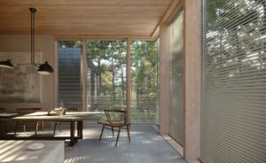 Window Treatment
